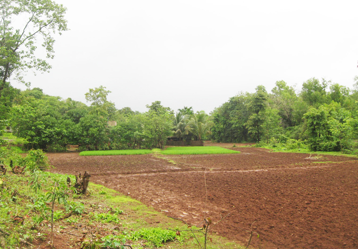 Vrundavan View 12