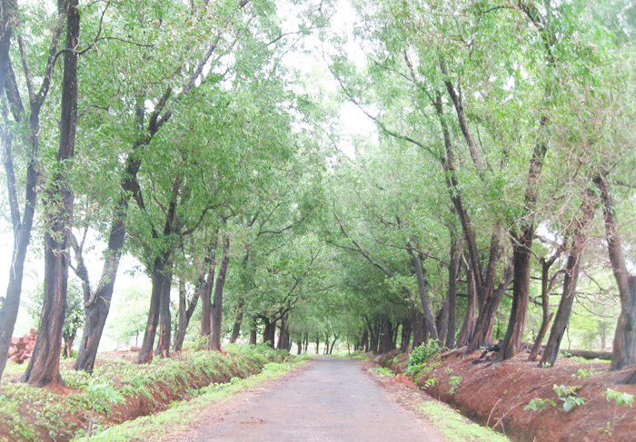 Vrundavan View 04